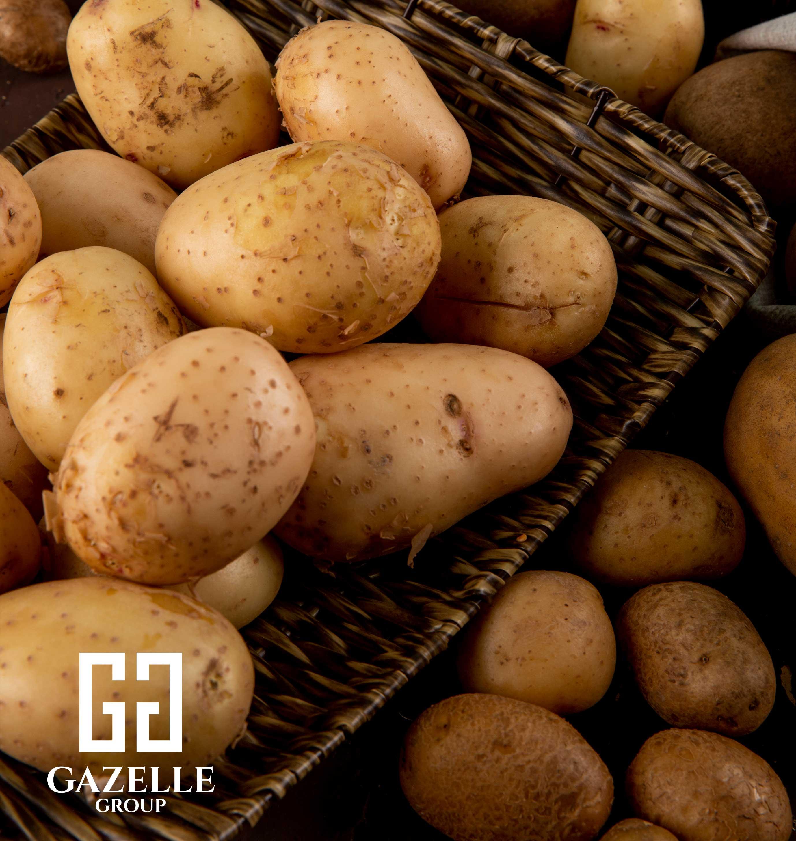Potatoes