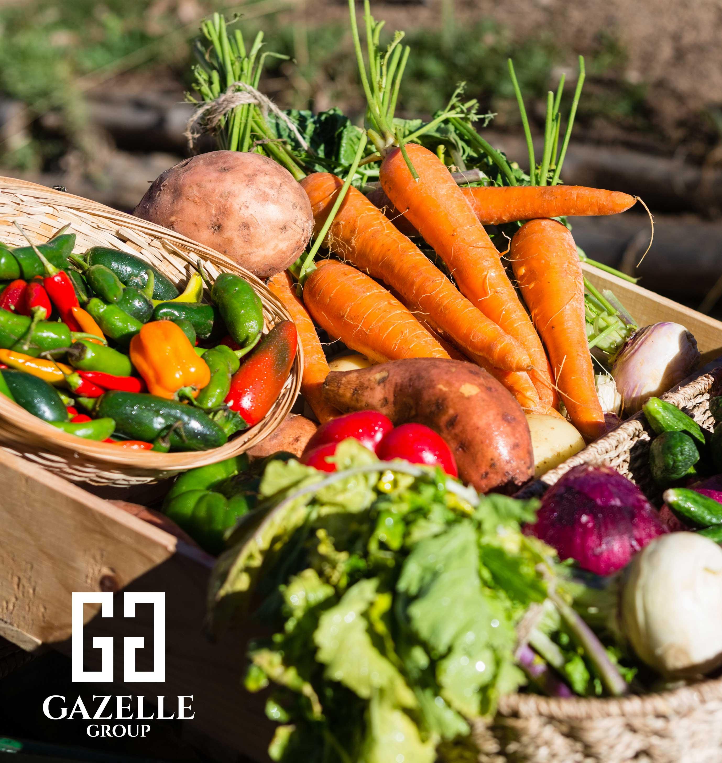 Organic Vegetables